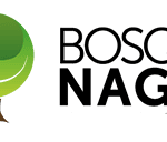 Logo Bosque Nagal