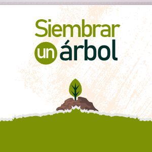 Plan Siembra un árbol