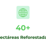 Impacto Bosque Nagal: Más de 40 hectáreas reforestadas