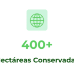 Impacto Bosque Nagal: Más de 400 hectáreas conservadas