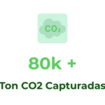 Impacto Bosque Nagal: Más de 80.000 toneladas de CO2 capturadas