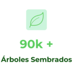 Impacto Bosque Nagal: Más de 90.000 árboles sembrados.